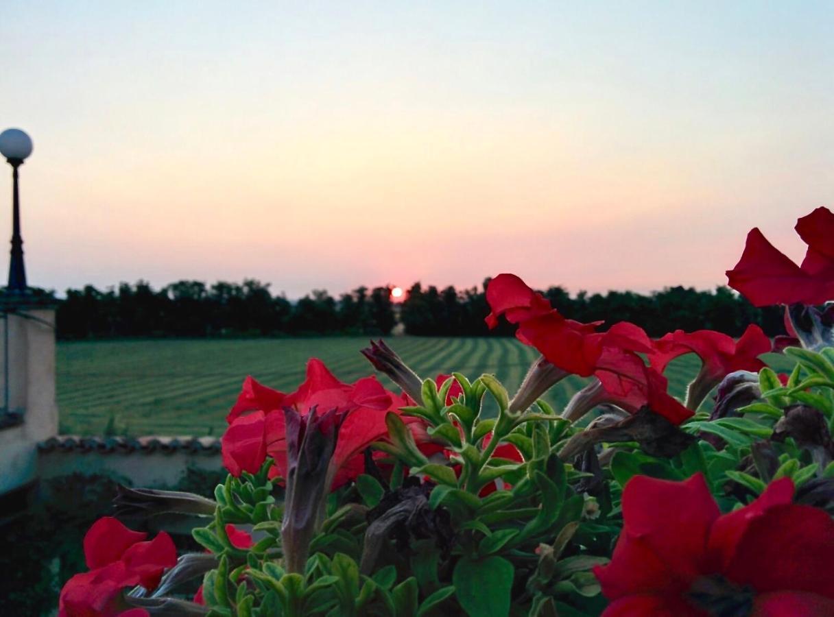 Agriturismo Corte Bebbi Bibbiano  Екстериор снимка